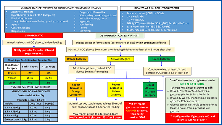 Neonatal Hypoglycemia Management Protocol flowchart